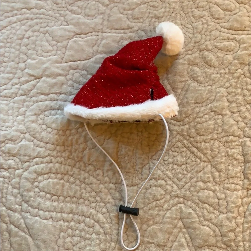 NWOT Mrs Santa costume for small dogs